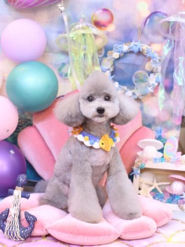 20240807宇宙くん